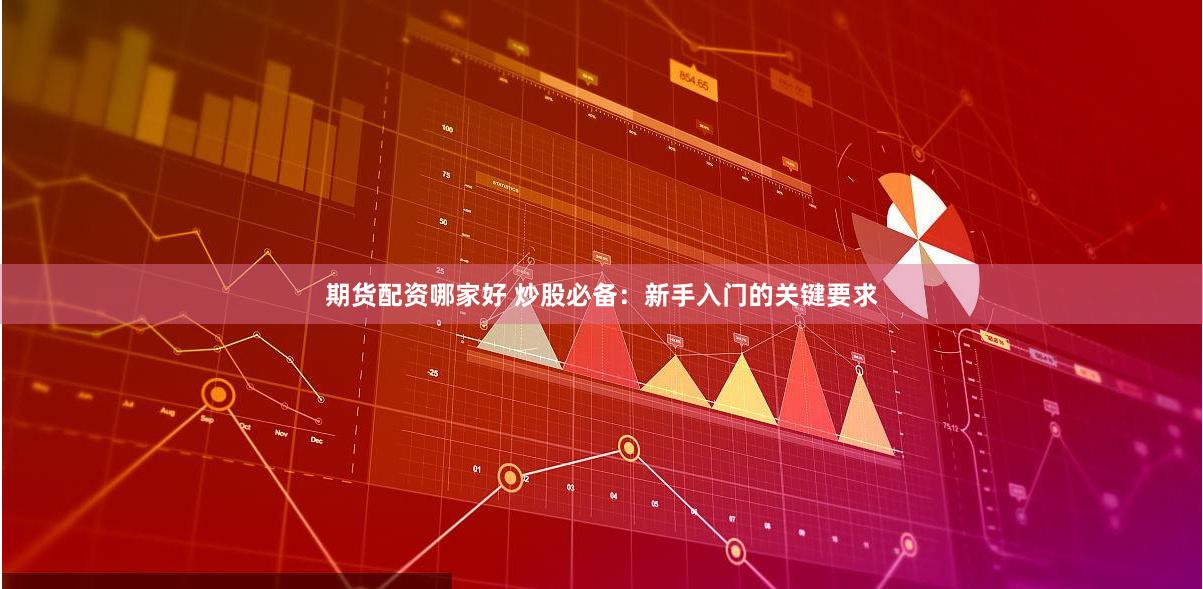 期货配资哪家好 炒股必备：新手入门的关键要求