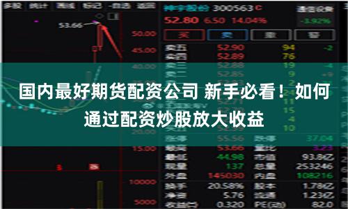 国内最好期货配资公司 新手必看!如何通过配资炒股放大收益