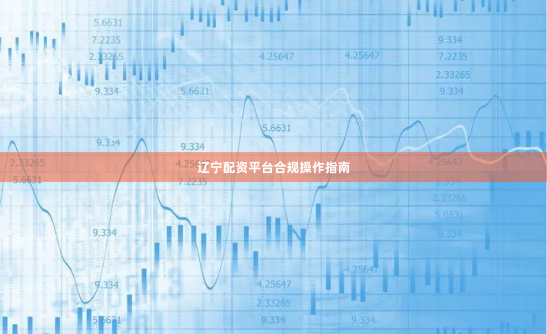 辽宁配资平台合规操作指南