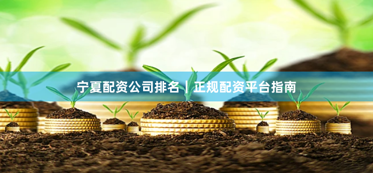 宁夏配资公司排名|正规配资平台指南